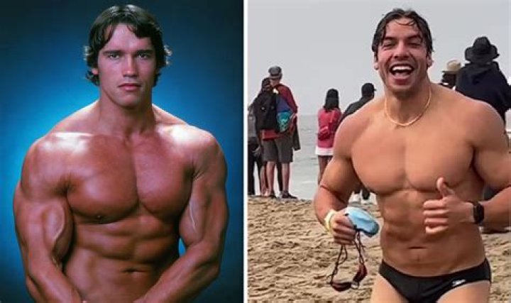 Arnold Schwarzenegger's Controversial Son With Former Maid