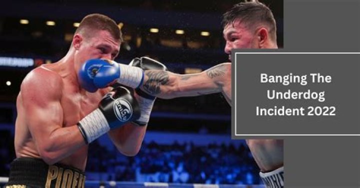 Unveiling The Power Of The Underdog: Lessons And Insights From The 2022 Phenomenon