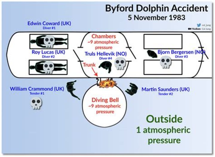 The Mysterious Disappearance Of The Biford Dolphins: A Haunting Tale