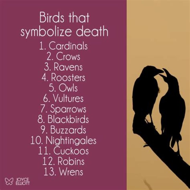 Deadly Omen: Birds That Portend Death