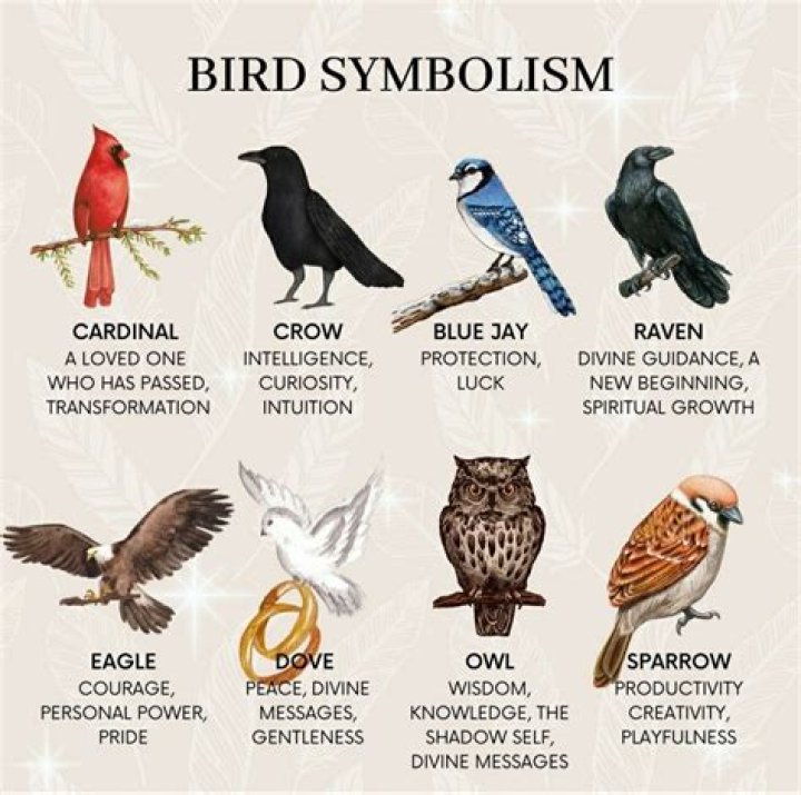 Unveiling Birds: Symbols Of Limitless Freedom