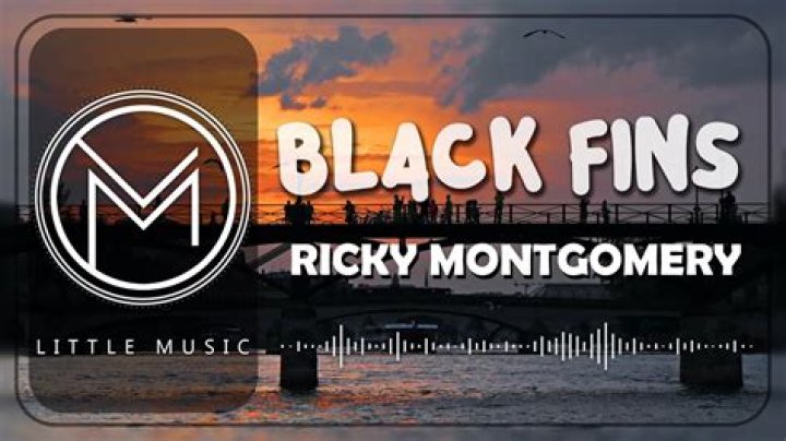 Unveiling The Secrets Of "Black Fins Lyrics": Explore Hidden Meanings And Discover Unseen Truths