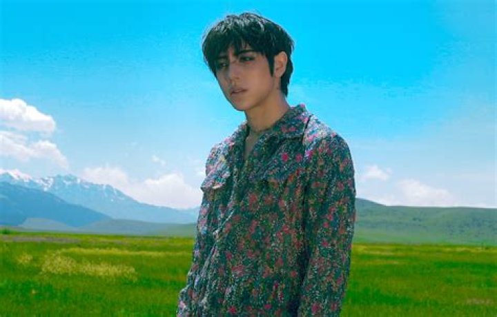 Uncover The Truth: A Comprehensive Guide To DPR Ian Relationships