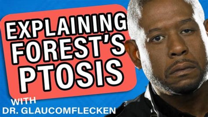 Forest Whitaker's Eye: A Captivating Gaze | Film And Acting