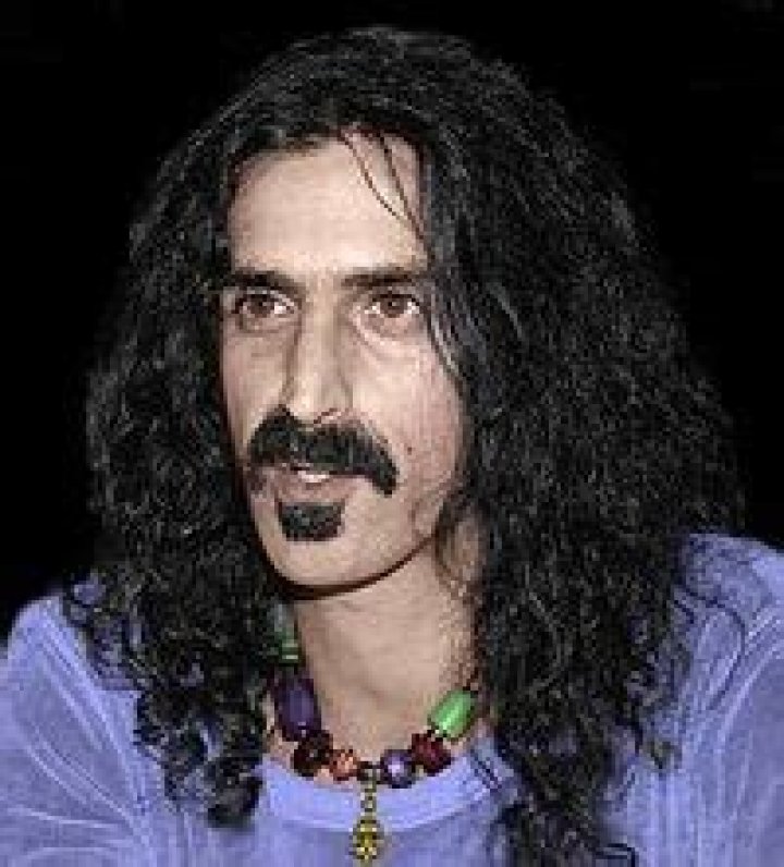An Expansive Exploration Of Frank Zappa's Multifaceted Cultural Identity