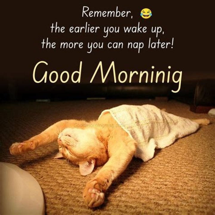 The Ultimate Collection Of Hilarious Good Morning Memes