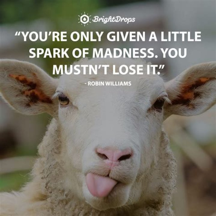 Hilariously Inspiring Life Truths: Funny Inspirational Quotes