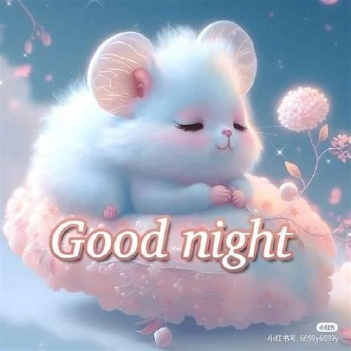 Good Night's Cutest Images: Dreamy And Adorable