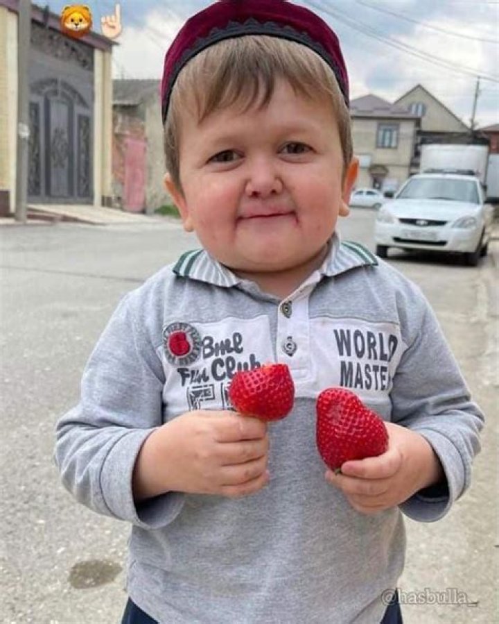 Uncovering The Age Of Hasbulla Magomedov: A Comprehensive Guide