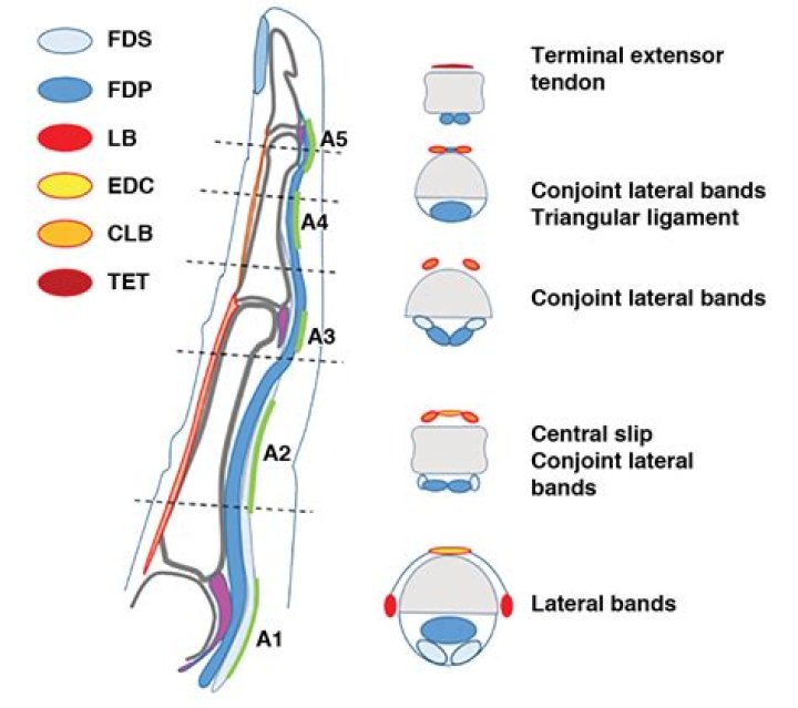 A Journey Through Time: Tracing The Longevity Of AJR As A Band