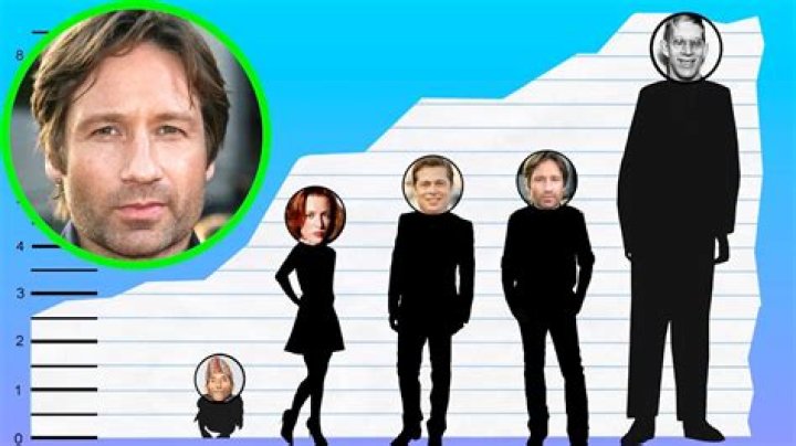 Unraveling The Height Of David Duchovny: How Tall Is He Really?