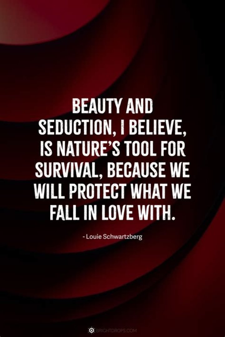 Unforgettable Seduction Quotes To Heat Up Any Night