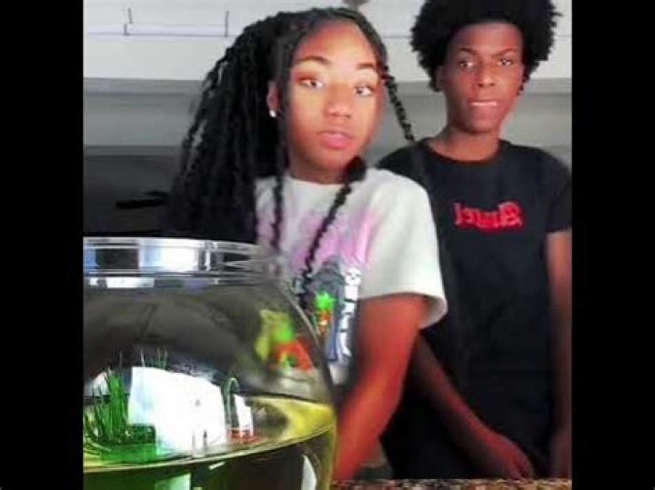 Uncover The Sibling Truth: Is Ari And Roman Related?