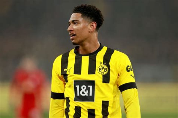 Is Bellingham A Racially Diverse City? Explore Its Mixed-Race Population