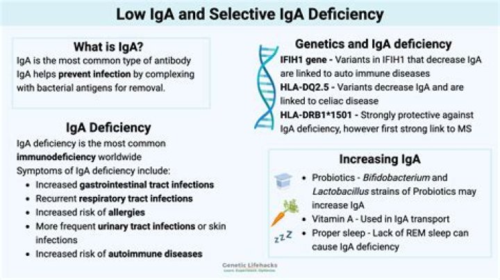 Who Is Iga Sweep In Relationship With?