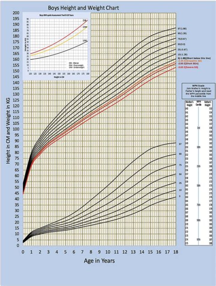 Jane Fonda Height And Weight Statistics You Need To Know