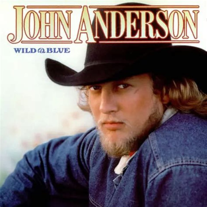Discover John Anderson's Enchanting Country Melodies