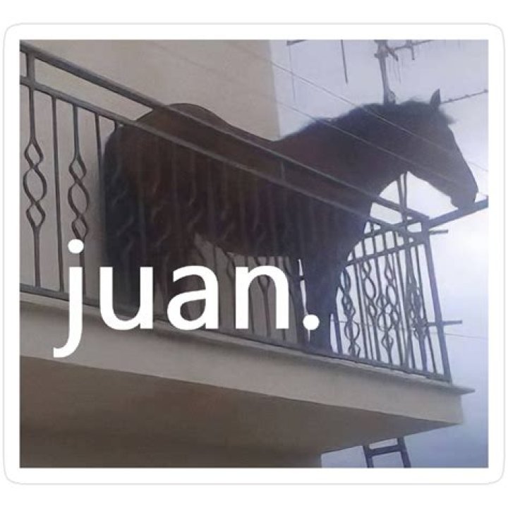The Unstoppable Juan: Horse Racing's Star Champion