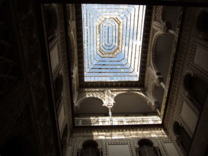 Find The Perfect Partner For Kate Dries Today