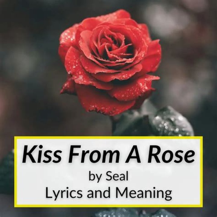 The Meaning Behind The Haunting Lyrics Of "The Rose"