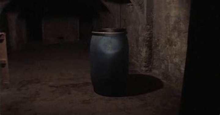 Megan Is Missing: The Chilling Photos Of The Barrel Incident