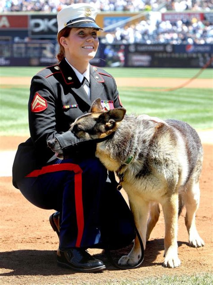 Unbreakable Bond: The Story Of Megan Leavey And Her Devoted Husband