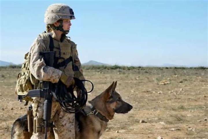 The Unbreakable Bond: Megan Leavey And Marine Dog Marry Morales
