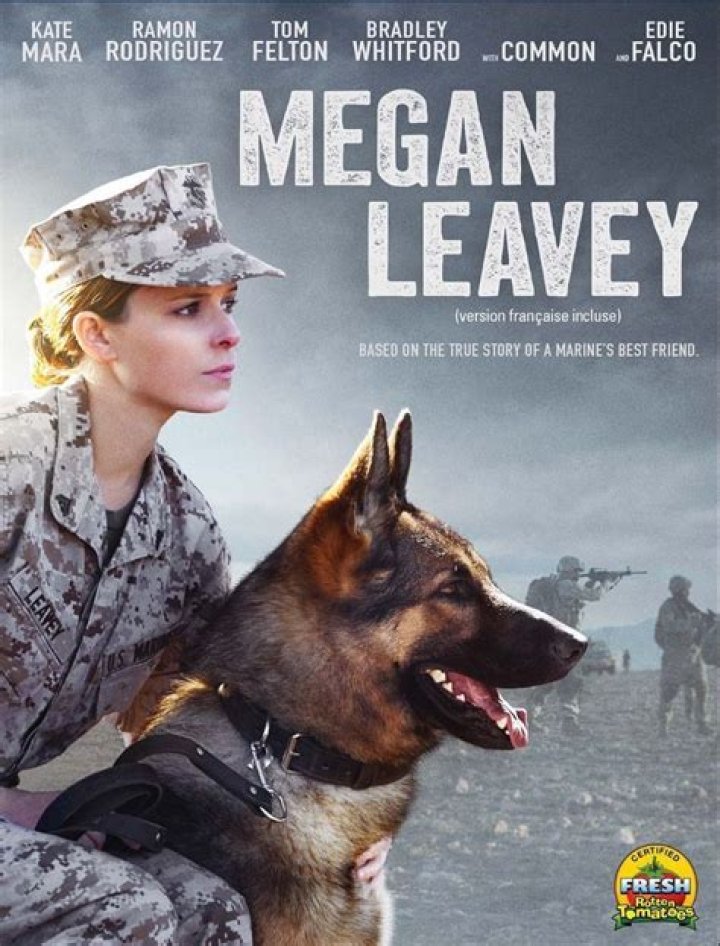 The Untold Story Of Megan Leavey's Spouse: An Unbreakable Bond