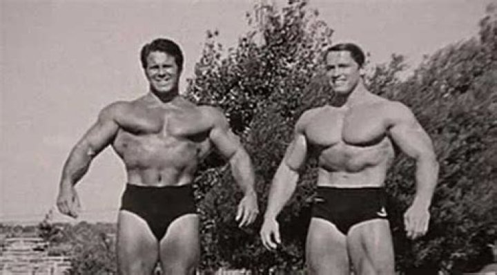 Uncovering The Enigma: Meinhard Schwarzenegger's Hidden Influence