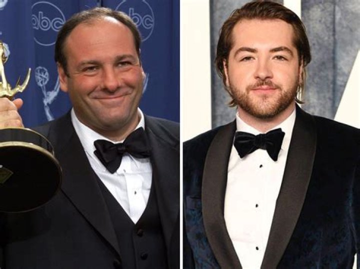 Uncovering Michael Gandolfini's Journey: From Legacy To Star