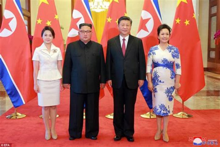 The Unveiled Truth: Age Of North Korea's President's Wife