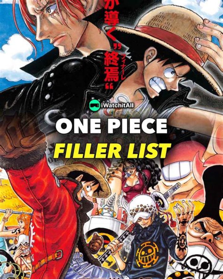 Essential Guide To Skipping The Ultimate One Piece Filler Marathons