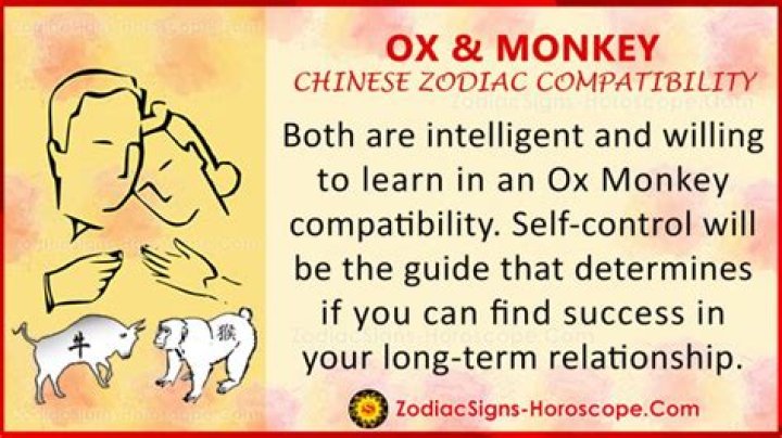 Discover Uncovering The Secrets Of Ox And Monkey Compatibility