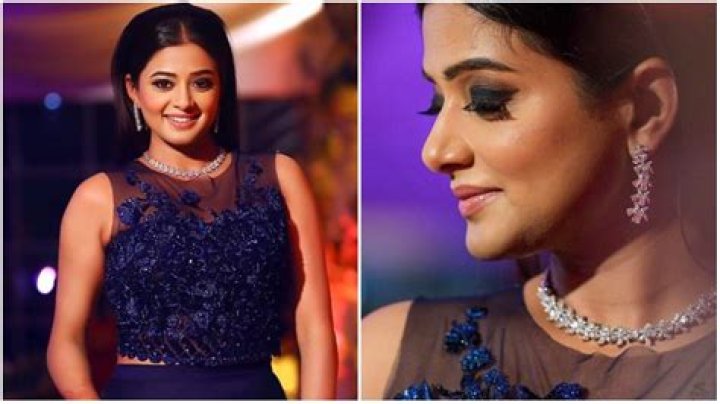 Unveiling The Mystery: Who Is Priyamani's Husband?
