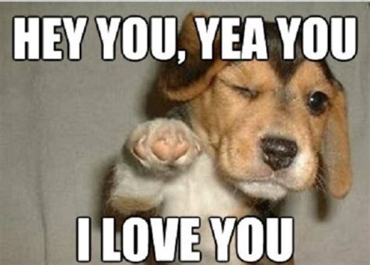 The Most Romantic Love Memes To Share With Her