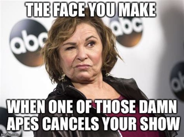 Hilarious Roseanne Barr Memes That Will Make You LOL