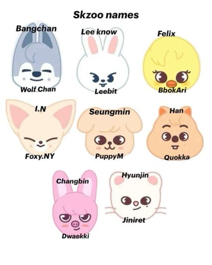 Exploring The Adorable World Of SKZOO Names