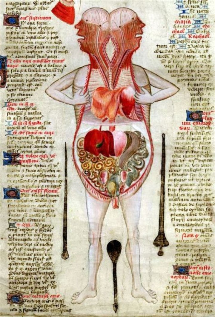 The Extraordinary Anatomy Of Tarrare's Organs: A Medical Enigma