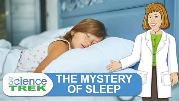 The Curious Case Of Dino Hands: Unraveling The Mystery Of Sleep Patterns