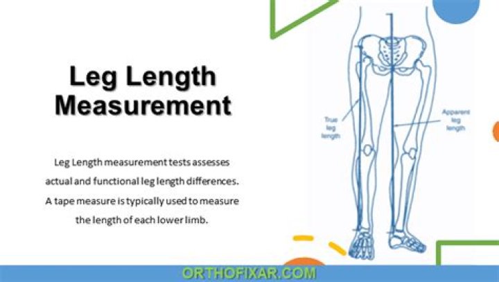 The Ultimate Guide To Understanding Upper Leg-to-Lower Leg Length Ratio