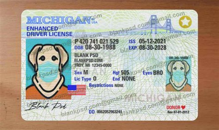 The Ultimate Guide: Uncovering Your Driver's License Number's Whereabouts