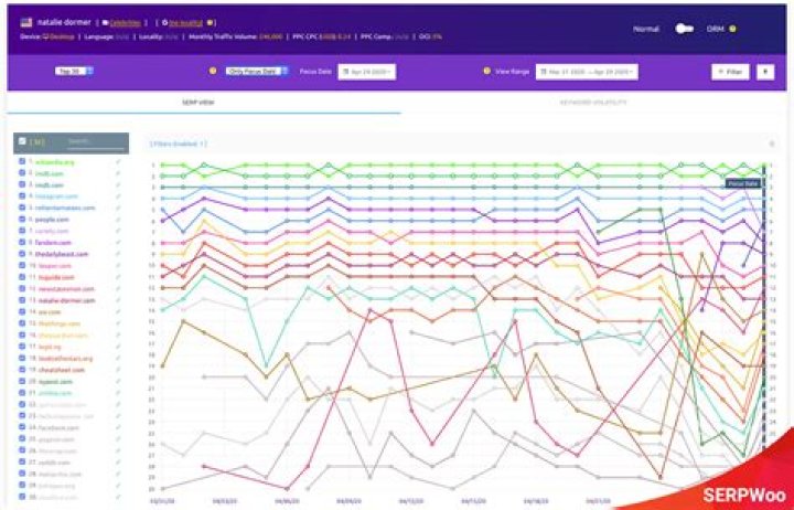 The Ultimate Spanish SERP Tracker: Monitor Your Rankings Effortlessly