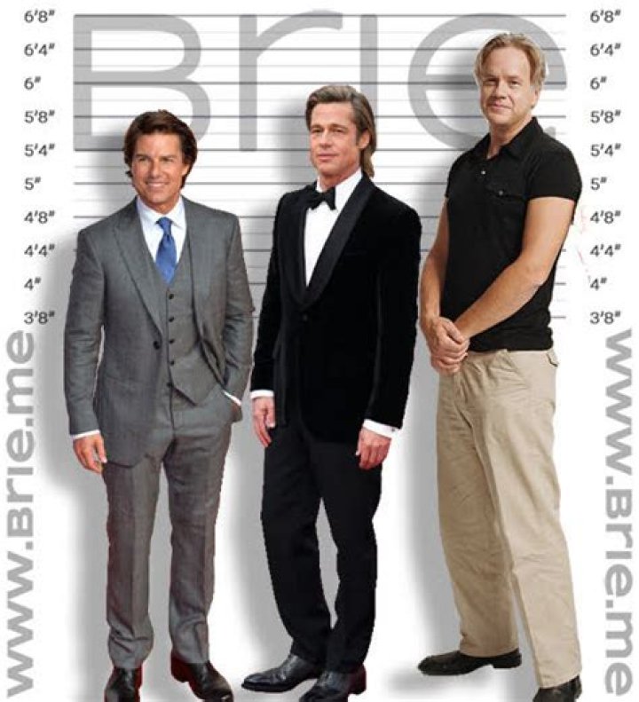 Ultimate Guide To Tim Robbins' Height: Measurements And Statistics