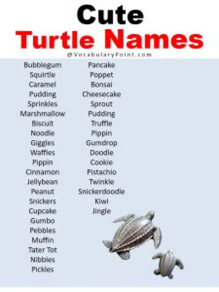 Unique Turtle Girl Names: Discover Enchanting Options