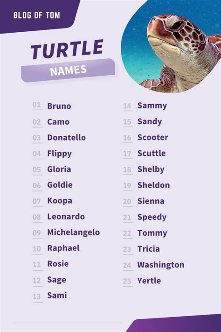 Breathtaking Turtle Girl Names: A Comprehensive Collection For Your Little Star