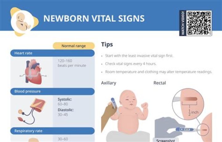 Understand The Normal Respiration Rate Of Newborns Guide
