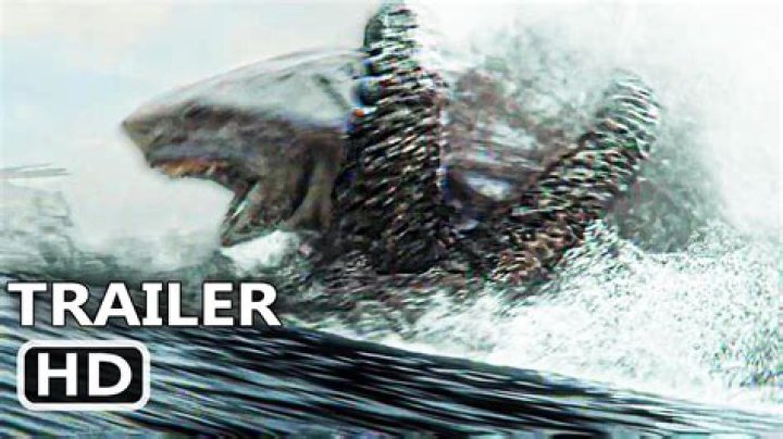 Unveiling The Megalodon's Enigma: Groundbreaking Discovery In 2024