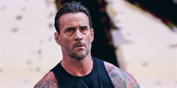Unveiling The Secrets: CM Punk's Impact On Children's Entertainment
