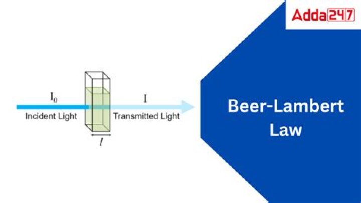 Unveiling The Life Of Adam Lambert's Brother: What Does He Do?