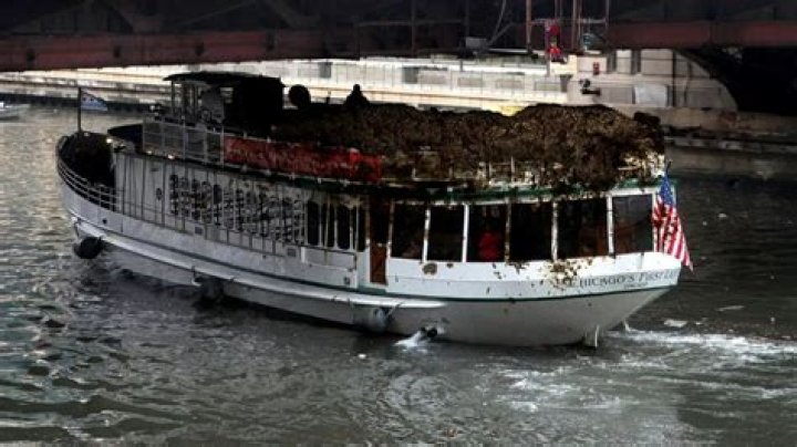 The Ultimate Guide To Chase Matthews' Origins